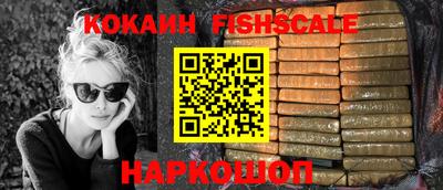 ECSTASY Гай