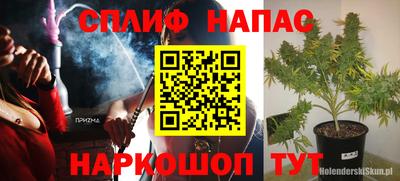 гашик Будённовск