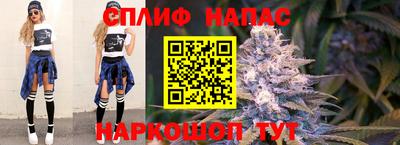 ALPHA PVP Гатчина