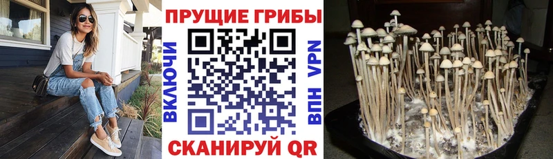 Псилоцибиновые грибы Magic Shrooms  Родники 