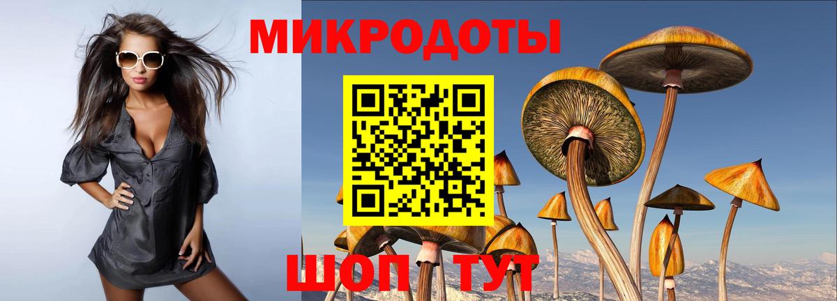 Псилоцибиновые грибы Psilocybe  Родники 